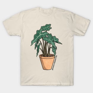 Alocasia Elephant Ear T-Shirt